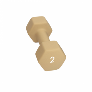 Abilica Dumbbell 2 Kg Sand