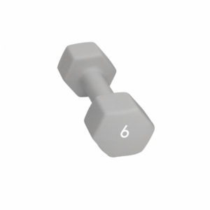 Abilica Dumbbell 6 Kg Grå